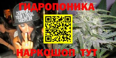 прущие крисы Краснодар