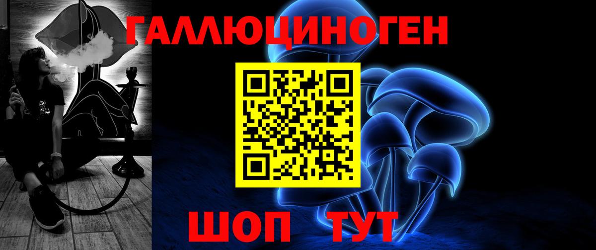 Дубна  Псилоцибиновые грибы ЛСД  наркотики  Вход с VPN 
